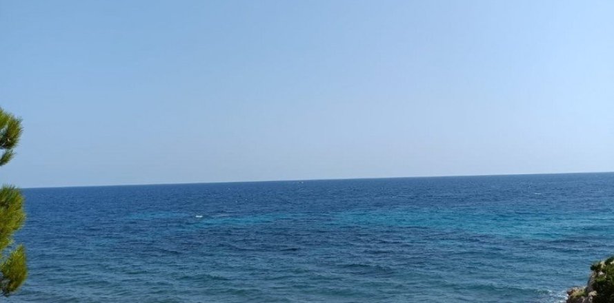 Земельный участок 4000м² в Л'Аметлья-де-Мар, Таррагона, Каталония, Испания № 4997