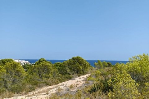 Купить земельный участок в Л'Аметлья-де-Мар, Испания 4000м², № 4997 - фото 5