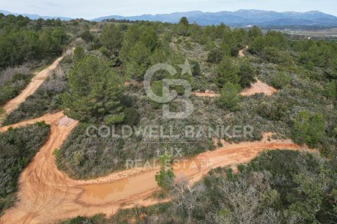 Купить земельный участок в Гарригас, Испания 1300000м², № 5754 - фото 4