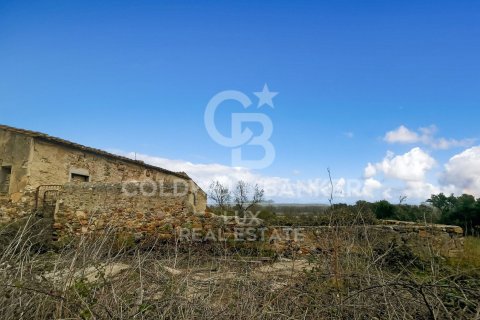 Купить земельный участок в Гарригас, Испания 1300000м², № 5754 - фото 3