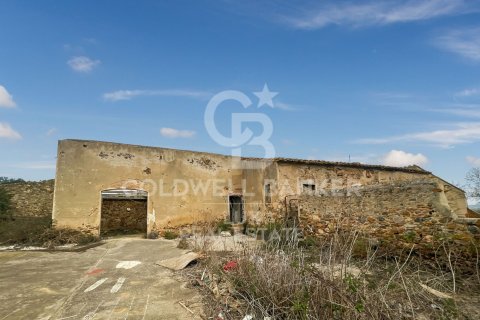 Купить земельный участок в Гарригас, Испания 1300000м², № 5754 - фото 5