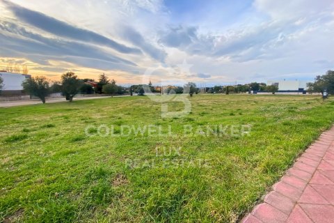 Купить земельный участок в Пералада, Испания 5728м², № 5766 - фото 9