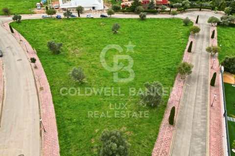 Купить земельный участок в Пералада, Испания 5728м², № 5766 - фото 3