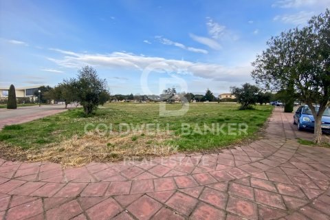 Купить земельный участок в Пералада, Испания 5728м², № 5766 - фото 12