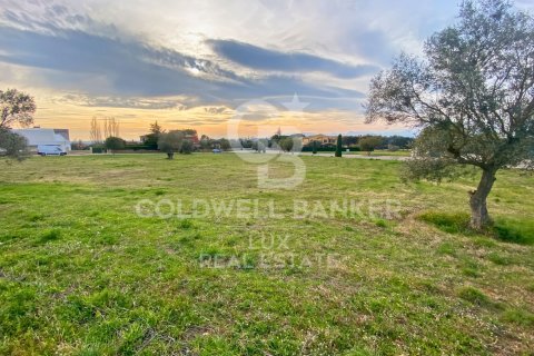 Купить земельный участок в Пералада, Испания 5728м², № 5766 - фото 10