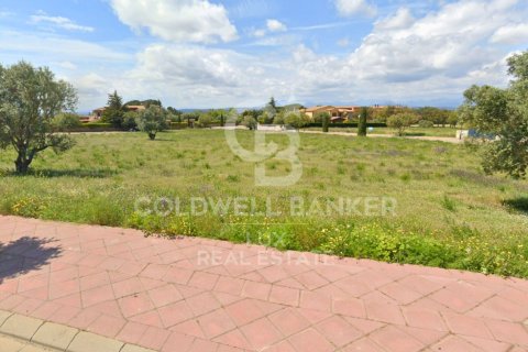 Купить земельный участок в Пералада, Испания 5728м², № 5766 - фото 8