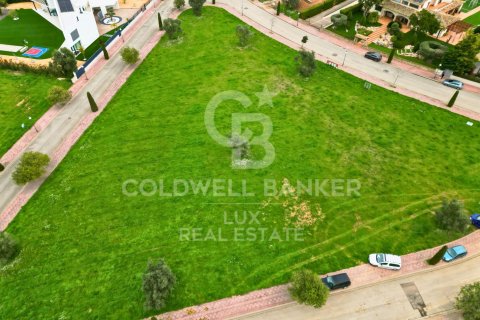 Купить земельный участок в Пералада, Испания 5728м², № 5766 - фото 6