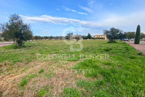 Купить земельный участок в Пералада, Испания 5728м², № 5766 - фото 4