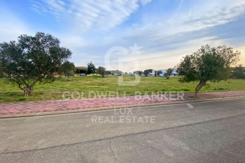 Купить земельный участок в Пералада, Испания 5728м², № 5766 - фото 11