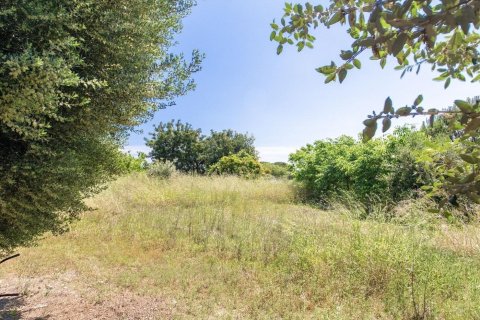 Купить земельный участок в Сан-Висенс де Монтальт, Испания № 1327 - фото 4