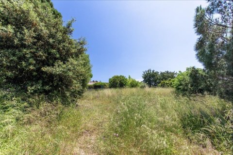 Земельный участок в Сан-Висенсе де Монтальте, Барселона, Каталония, Испания № 1327