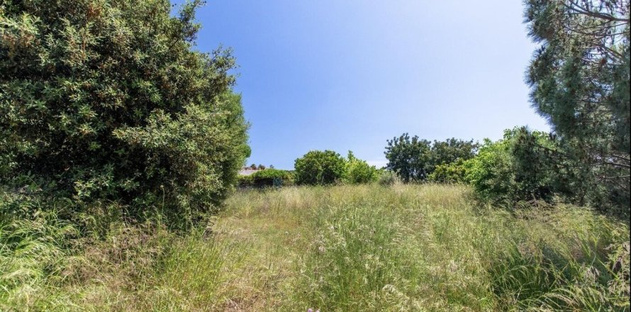 Земельный участок в Сан-Висенсе де Монтальте, Барселона, Каталония, Испания № 1327