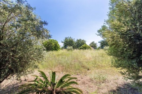 Купить земельный участок в Сан-Висенс де Монтальт, Испания № 1327 - фото 6