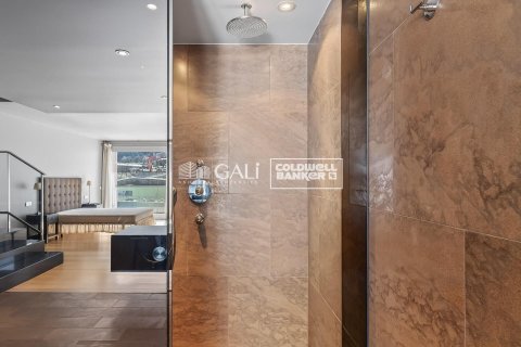 3 bedrooms penthouse for sale in Principado De Andorra (Ninguna Poblacion Tiene C.P.), Lleida, Catalonia, Spain № 5251 - photo 18