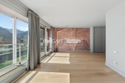 3 bedrooms penthouse for sale in Principado De Andorra (Ninguna Poblacion Tiene C.P.), Lleida, Catalonia, Spain № 5251 - photo 13