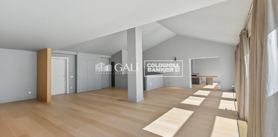 3 bedrooms penthouse for sale in Principado De Andorra (Ninguna Poblacion Tiene C.P.), Lleida, Catalonia, Spain № 5251