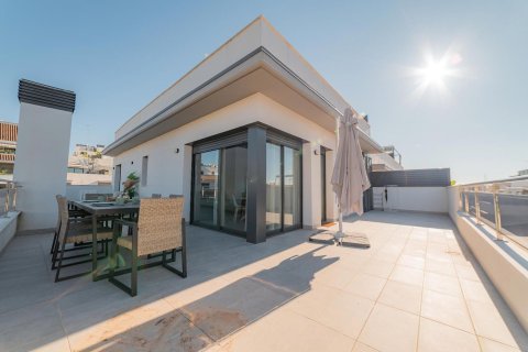 Квартира с 2 спальнями в Ситжесе, Барселона, Каталония, Испания № 1651