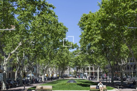 3 chambres apartment à vendre à Barcelona, Catalonia, Spain № 4271 - photo 10