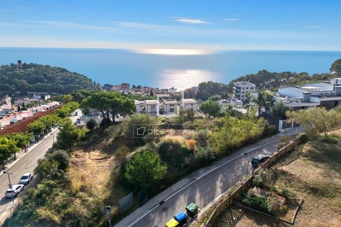5 chambres villa à vendre à Caldes d'Estrac, Barcelona, Catalonia, Spain № 4180 - photo 25