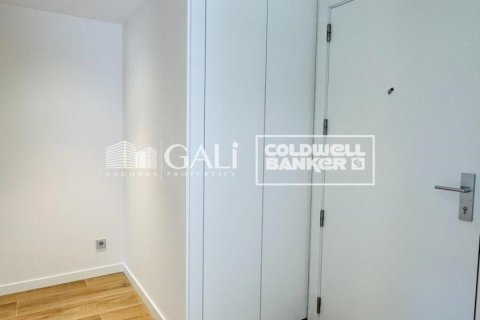 3 chambres apartment à louer à Principado De Andorra (Ninguna Poblacion Tiene C.P.), Lleida, Catalonia, Spain № 6120 - photo 13