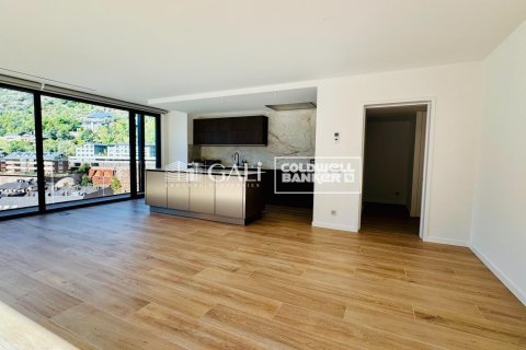 3 chambres apartment à louer à Principado De Andorra (Ninguna Poblacion Tiene C.P.), Lleida, Catalonia, Spain № 6120 - photo 2