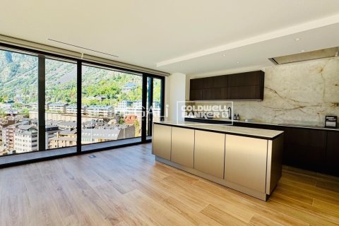 3 bedrooms apartment for rent in Principado De Andorra (Ninguna Poblacion Tiene C.P.), Lleida, Catalonia, Spain № 6120