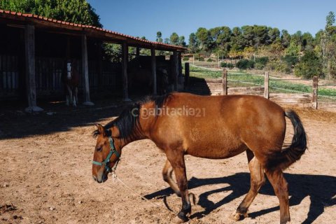 Купить земельный участок в Руби, Испания 1472м², № 2322 - фото 7