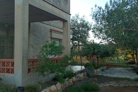 Купить земельный участок в Виланова-и-ла-Желтру, Испания 16000м², № 5088 - фото 7