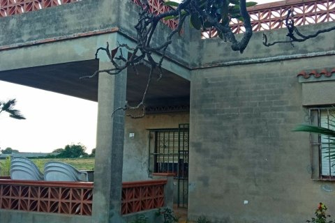 Купить земельный участок в Виланова-и-ла-Желтру, Испания 16000м², № 5088 - фото 8