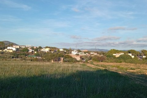 Купить земельный участок в Виланова-и-ла-Желтру, Испания 16000м², № 5088 - фото 2