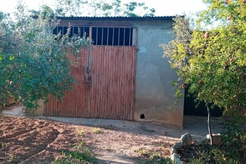 Купить земельный участок в Виланова-и-ла-Желтру, Испания 16000м², № 5088 - фото 4