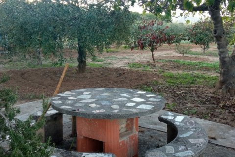 Купить земельный участок в Виланова-и-ла-Желтру, Испания 16000м², № 5088 - фото 6