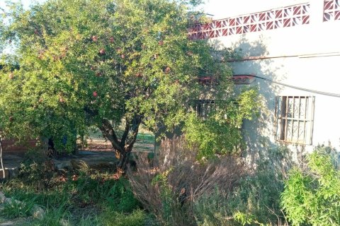 Купить земельный участок в Виланова-и-ла-Желтру, Испания 16000м², № 5088 - фото 10