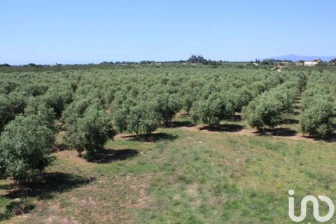 8 bedrooms house for sale in Riudoms, Tarragona, Catalonia, Spain № 5092 - photo 25