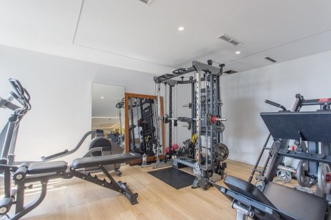 Купить дом в Сан-Висенс де Монтальт, Испания с 6 комнат, № 1424 - фото 27