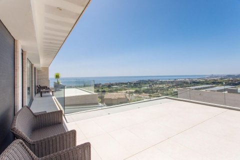 Купить дом в Сан-Висенс де Монтальт, Испания с 6 комнат, № 1424 - фото 24