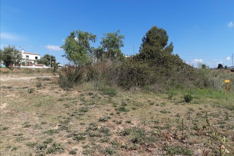 land plot à vendre à Rubi, Barcelona, Catalonia, Spain № 6908 - photo 6