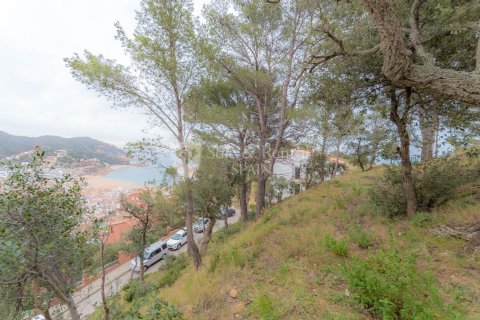 1131 sq.m. land plot for sale in Tossa de Mar, Girona, Catalonia, Spain № 6672