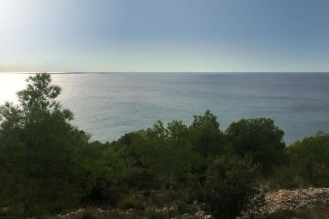 Купить земельный участок в Ситжес, Испания № 1655 - фото 5