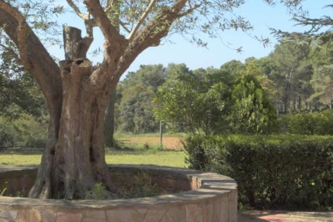 Купить дом в Бегур, Испания с 7 комнат, № 1659 - фото 4