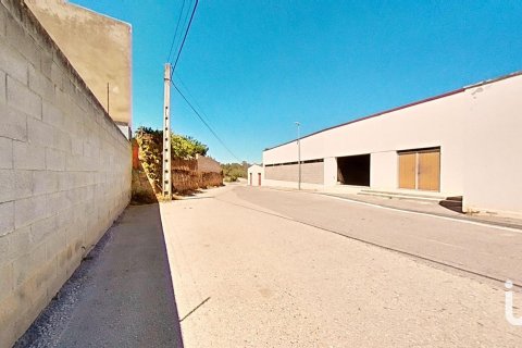 4185 sq.m. commercial property for sale in L'Espluga de Francoli, Tarragona, Catalonia, Spain № 4813 - photo 3