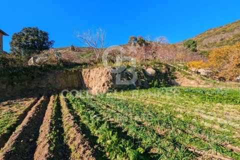 12 bedrooms house for sale in Agullana, Girona, Catalonia, Spain № 5807 - photo 6