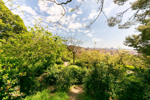 Купить квартиру в Барселона, Испания с 5 комнат, 114м², № 1578 - фото 11