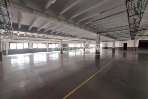 Propiedad comercial de 7623 m² en alquiler en Principado De Andorra (Ninguna Poblacion Tiene C.P.), Lérida, Cataluña, Spain № 6146 - foto 13