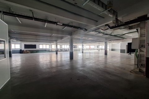 Propiedad comercial de 7623 m² en alquiler en Principado De Andorra (Ninguna Poblacion Tiene C.P.), Lérida, Cataluña, Spain № 6146 - foto 10