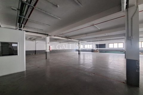 Propiedad comercial de 7623 m² en alquiler en Principado De Andorra (Ninguna Poblacion Tiene C.P.), Lérida, Cataluña, Spain № 6146 - foto 8