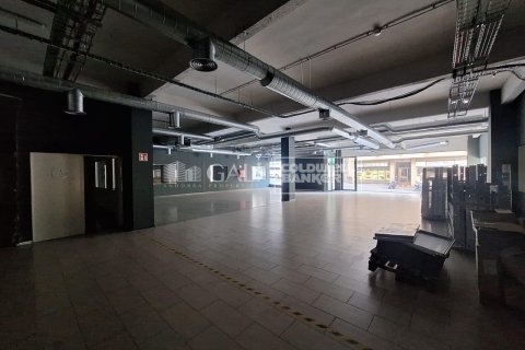 Propiedad comercial de 7623 m² en alquiler en Principado De Andorra (Ninguna Poblacion Tiene C.P.), Lérida, Cataluña, Spain № 6146 - foto 16