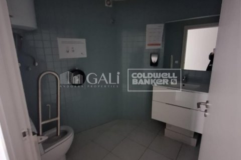 Propiedad comercial de 7623 m² en alquiler en Principado De Andorra (Ninguna Poblacion Tiene C.P.), Lérida, Cataluña, Spain № 6146 - foto 22