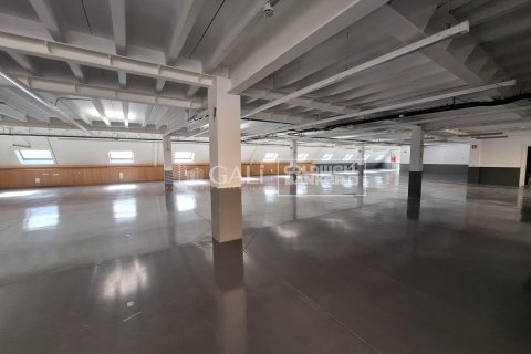Propiedad comercial de 7623 m² en alquiler en Principado De Andorra (Ninguna Poblacion Tiene C.P.), Lérida, Cataluña, Spain № 6146 - foto 12