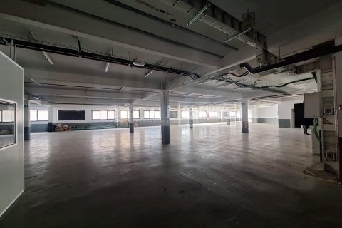 Propiedad comercial de 7623 m² en alquiler en Principado De Andorra (Ninguna Poblacion Tiene C.P.), Lérida, Cataluña, Spain № 6146 - foto 21